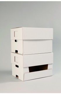 Besondere Aussteller